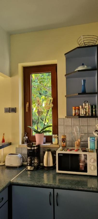 Apartment Ombla Мокошиця Екстер'єр фото